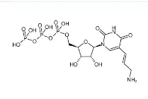 CAS號(hào)：112131-73-4，Aminoallyl-UTP，氨基烯丙基尿苷三磷酸