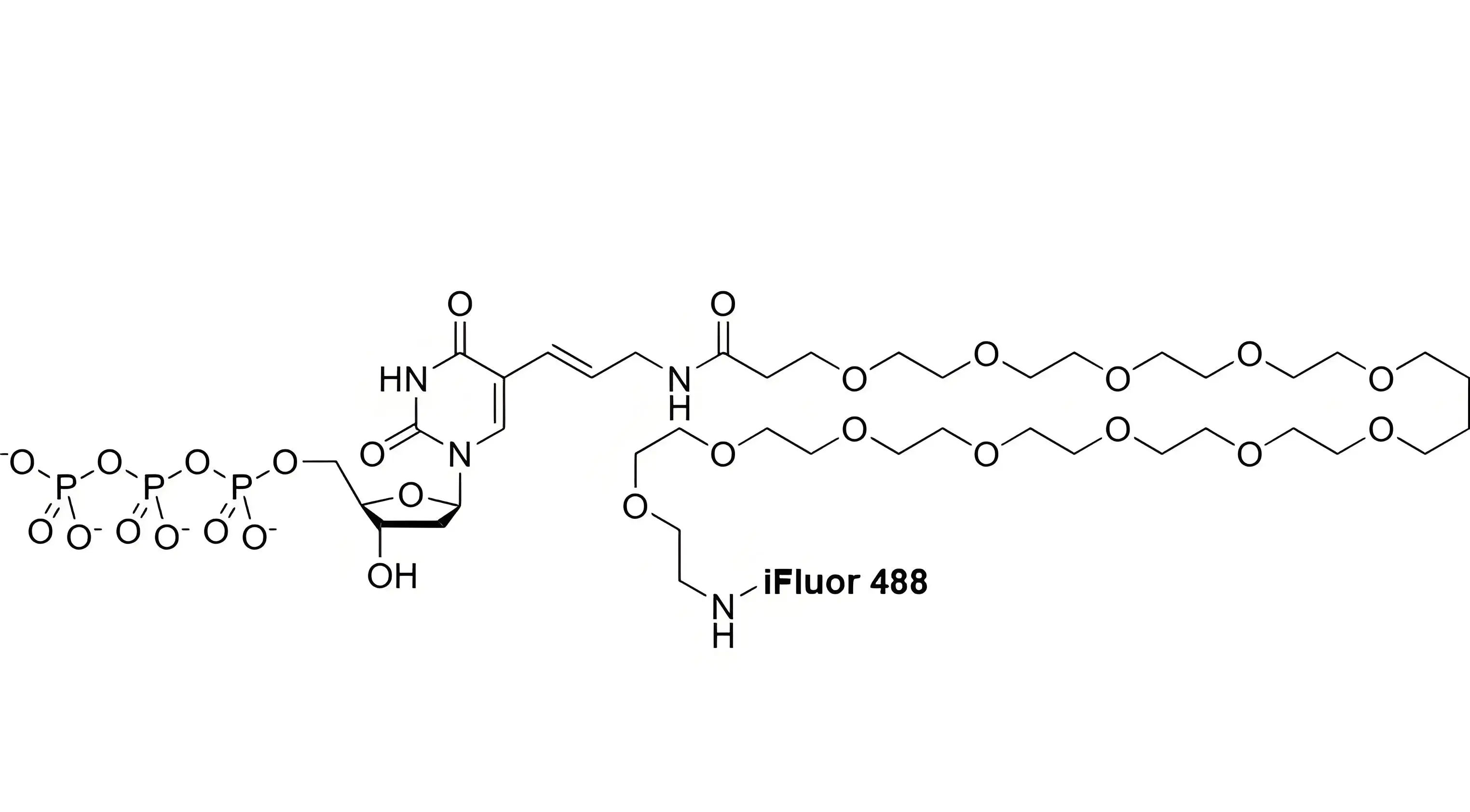 iFluor488-PEG12-dUTP，iFluor488-十二聚乙二醇-脫氧尿苷三磷酸在反應(yīng)體系中的溶解穩(wěn)定性解析
