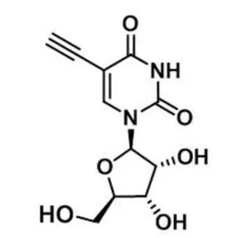 5-Ethynyluridine，5-EU，69075-42-9，核心結(jié)構(gòu)特點(diǎn)是在尿苷的5位碳上引入了一個(gè)乙炔基