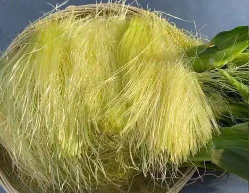 痛風(fēng)食療指南！8種低嘌呤食物建議常吃，溫和緩解不適少?gòu)?fù)發(fā)